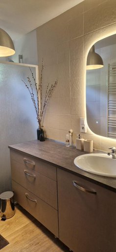 Bathroom 3, Chalet de Manigod, Haute-Savoie