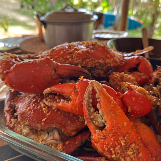 Food and beverages 5, Cambaya Beach Resort, Busuanga