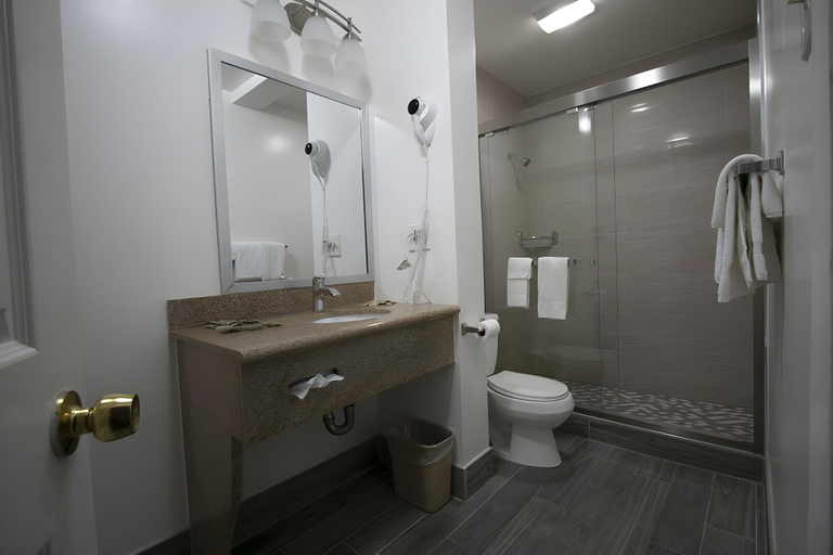 Bathroom 3, Alpha Inn and Suites, San Francisco