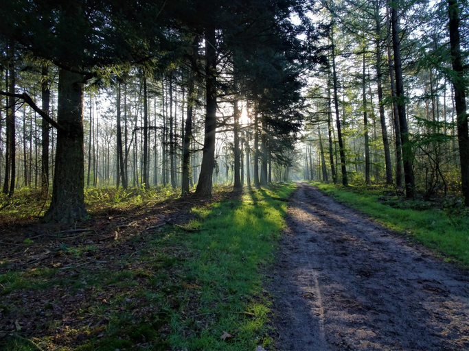 Others 5, Veluwe Park Reewold Chalet Vision, Putten