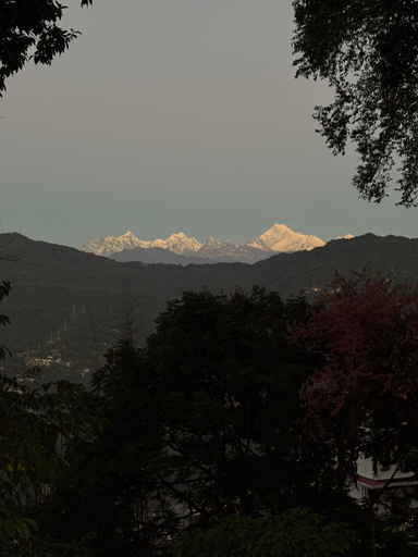 Others 4, Dorjee House, East Sikkim