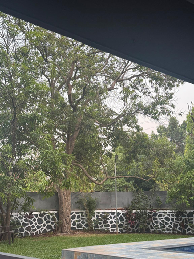 Others 5, The Amrapali Villa since 1950 ~ Unwind Blessings, Pune