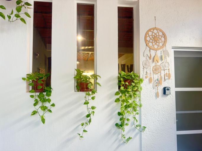 Others 5, Palapa Chili #, Compostela