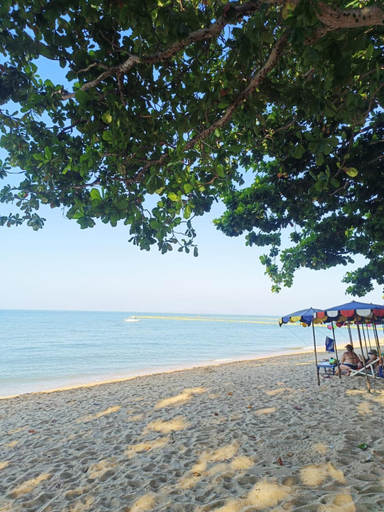 Others 5, Jomtien Beach Condo Building S, Pattaya