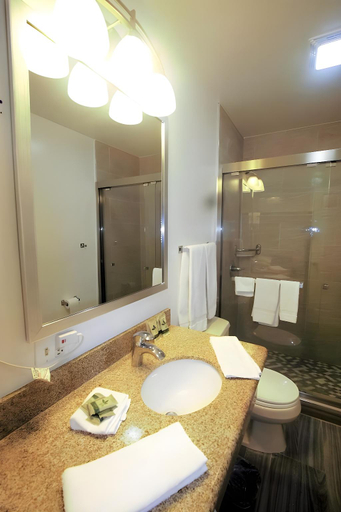 Bathroom 4, Alpha Inn and Suites, San Francisco