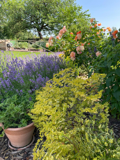 Garden 2, Agriturismo La Frattina, Siena