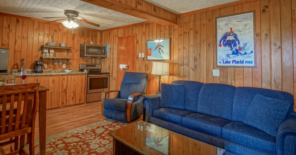 Living area 3, Stemwinder 6B 1 Bedroom, 1 Full Bath, Slope Side, Pocahontas