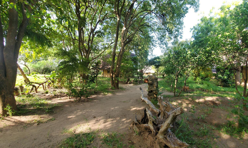 Garden, Eco Shamba Kilole, Mafia