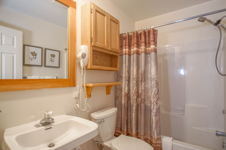 Bathroom 5, Camp 4 #1 3 Bedroom, 3.5 Bath, Pocahontas