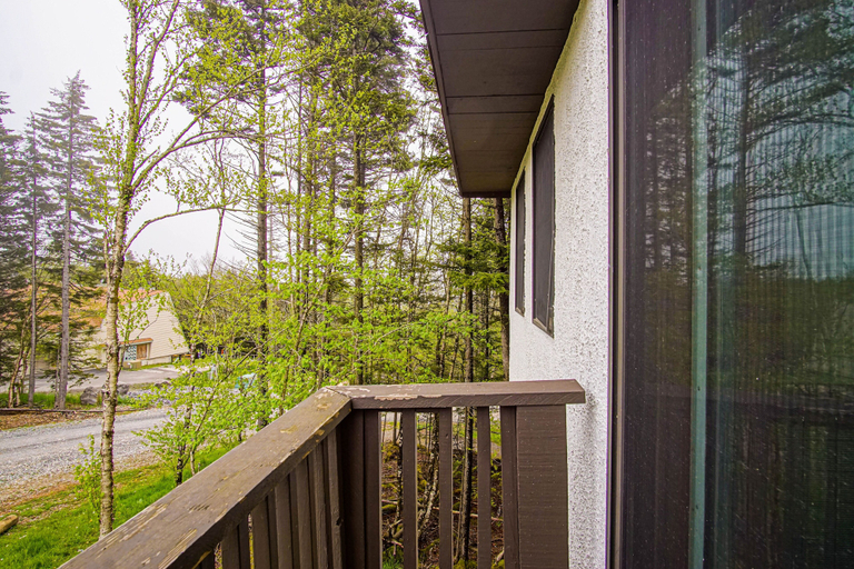 View from room, Whistlepunk 40 Bavaria`s Finest-1 Bedroom With Loft, Slope Side, Pocahontas