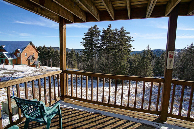 View from room 4, Powderidge 73 Cozy 2 Br Condo Slope Side, Pocahontas