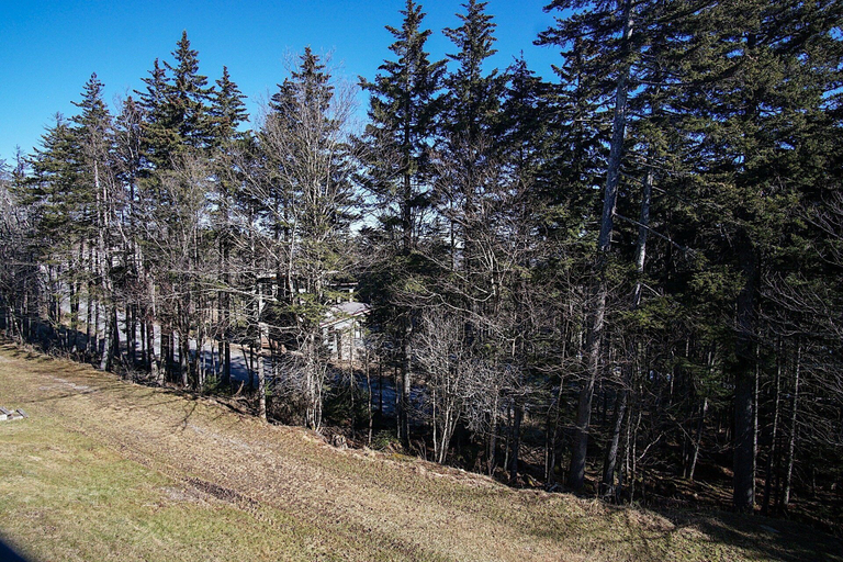Exterior 4, Whistlepunk 20 Wilderness Hideaway, Slope Side, Spacious 2 Br Condo, Pocahontas