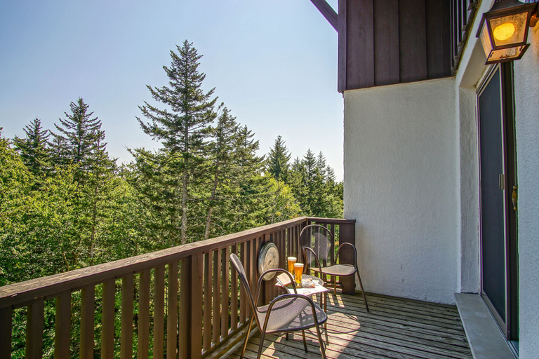 View from room 3, Whistlepunk #18: 4 Bedrooms, 3 Baths, Pocahontas