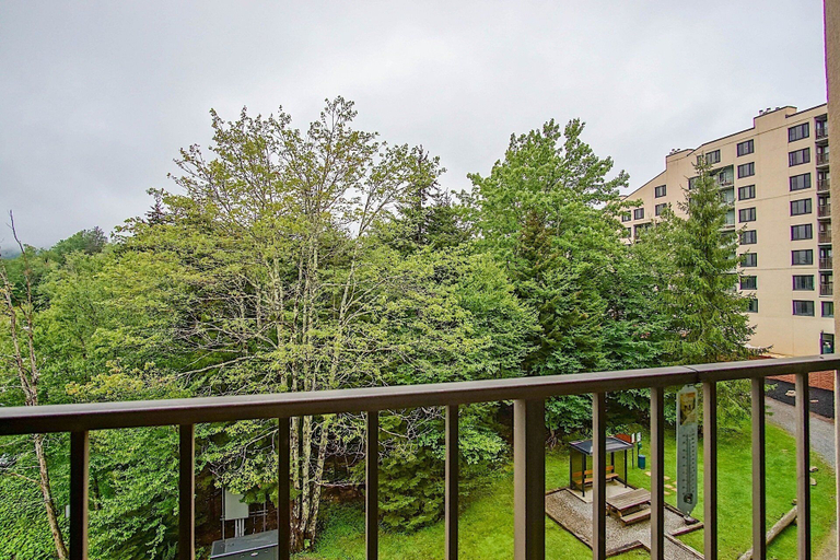 View from room, Silver Creek 5216 - The Winter`s Amazing 2 Br Condo, Pocahontas
