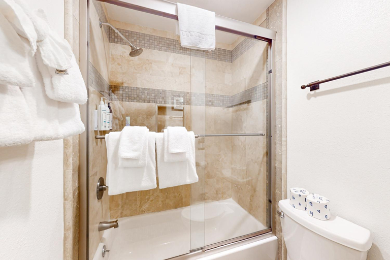Bathroom 4, The Summit 206, Mono
