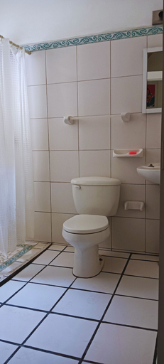 Bathroom 4, Alexandross Hostel BnB, Puerto Vallarta