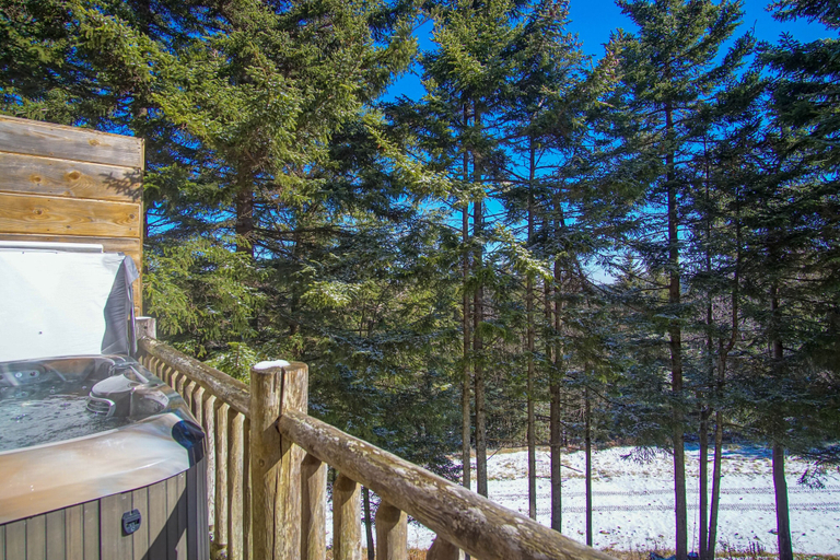 Outdoor spa tub 2, Loggers Run 6, Five Bedrooms, Pocahontas