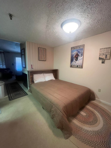 Room 5, 1br: Studio Loft Ridgewood 59 Wood Fireplace, Washer and Dryer Full Kitchen, Pocahontas