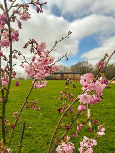 Others 2, Shropshire Lodges - Romantic Luxury Hot Tub Breaks, Shropshire