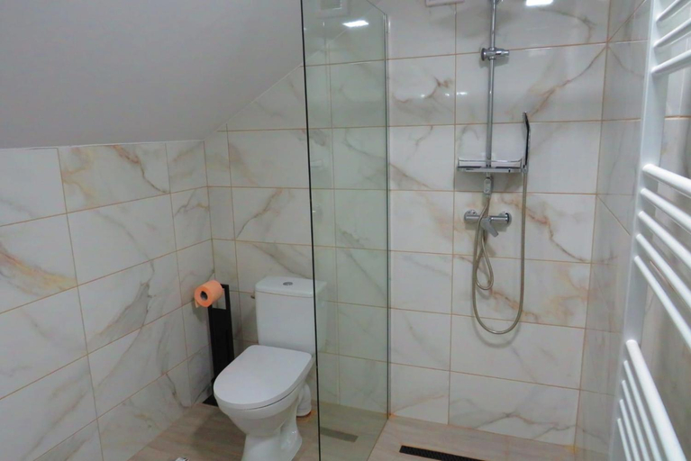 Bathroom, Casa Alex, Toplita