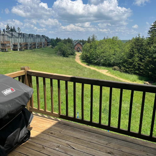 BBQ/picnic area, Powderidge 15 Slope Side, Pocahontas