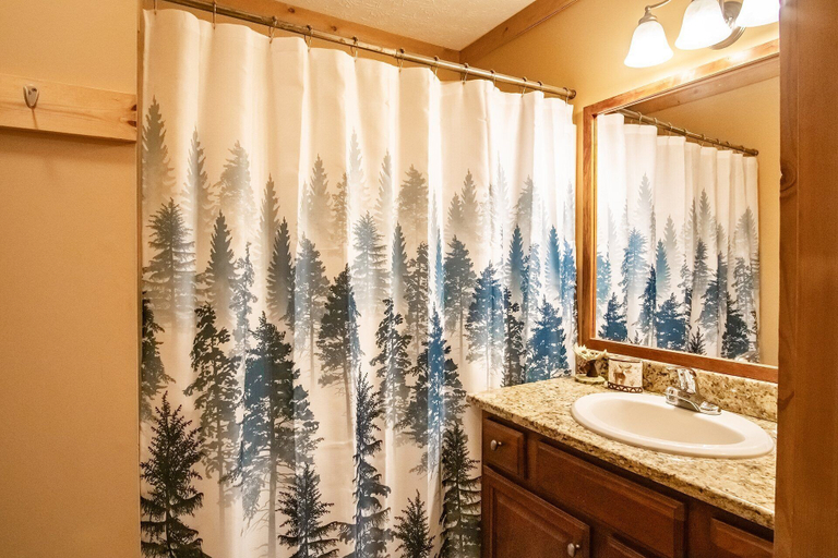 Bathroom 4, Logger`s Run 13 5 Br, Pocahontas