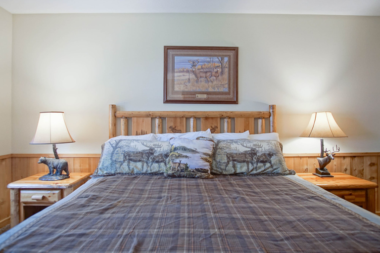 Room 4, Whistlepunk #31: 2 Bedrooms, 2 Bath: Slope Side, Central Location. Wood Fireplace, Pocahontas