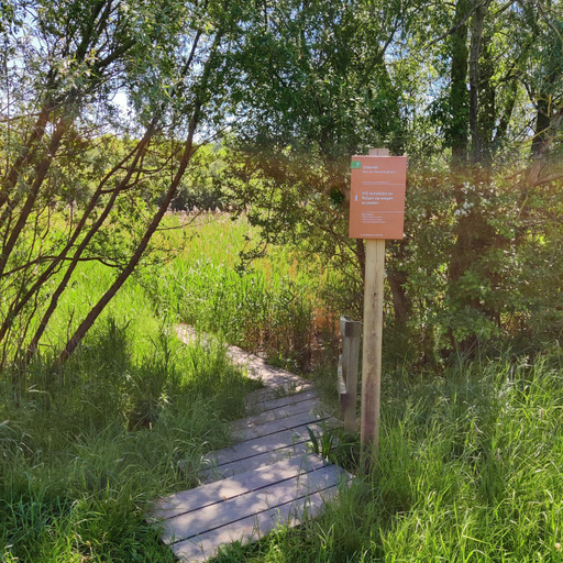 Surrounding environment