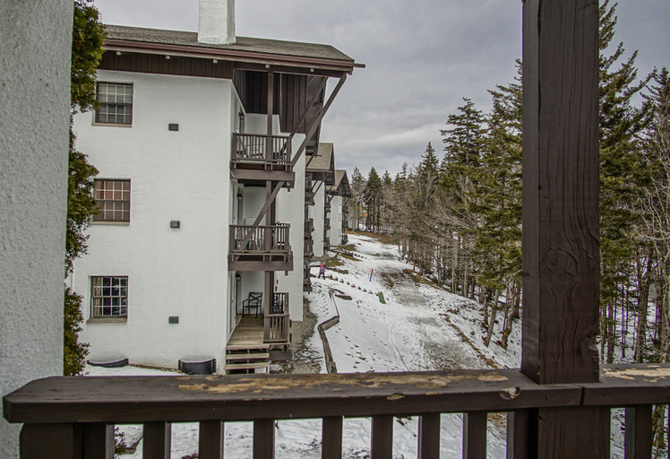 View from room 5, Whistlepunk #11: 2 Bedroom, 2 Bath: Wood Fireplace.central Location, Pocahontas