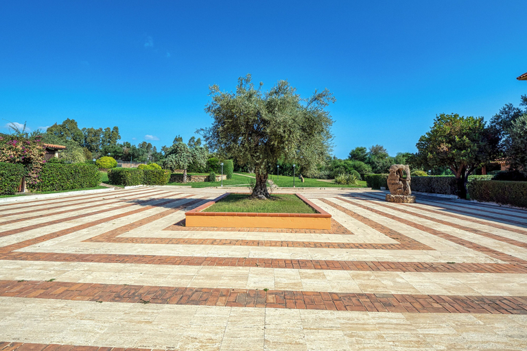 Property grounds, Trilo Super Standard 205 Ginepro, Olbia-Tempio