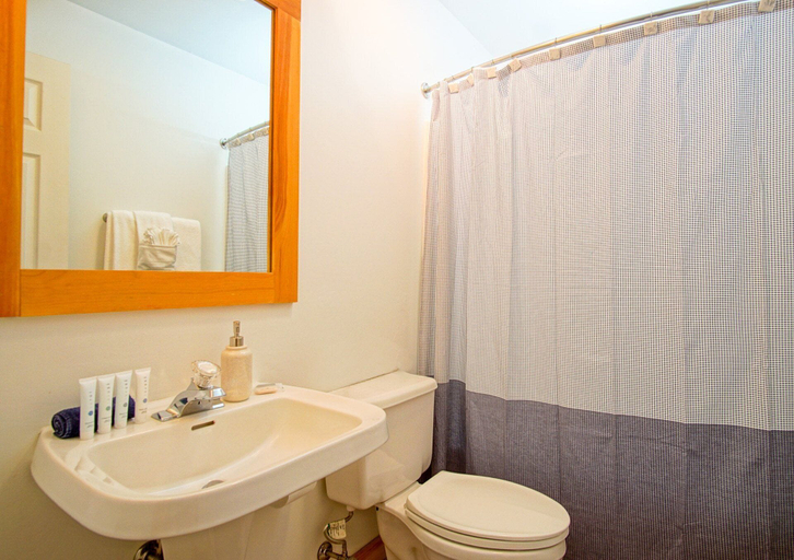 Bathroom 2, Camp Four 23: Pet Friendly, Slope Side, Gas Fireplace, Pocahontas
