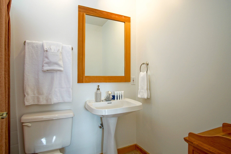 Bathroom 4, Camp Four 23: Pet Friendly, Slope Side, Gas Fireplace, Pocahontas