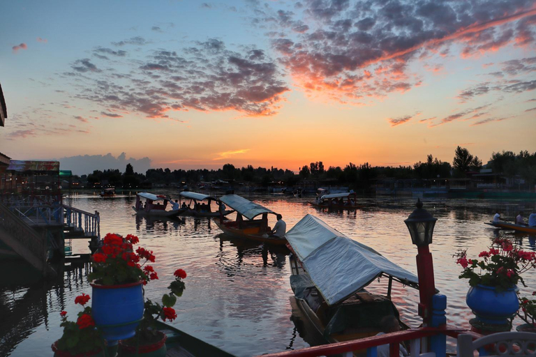 Others 2, Chicago Group of Houseboats, Srinagar