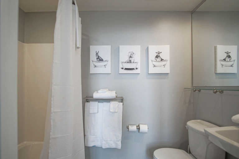 Bathroom 4, Slope Side! 2 Bed 2 Bath Expedition Station 201, Pocahontas