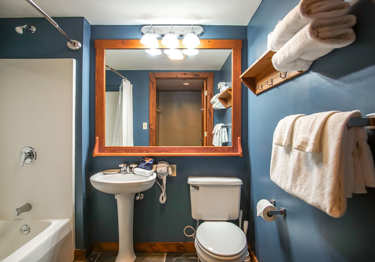 Bathroom 5, Rimfire 258 Studio - Access to Slope Cozy One Bed and Sofa Sleeper, Pocahontas