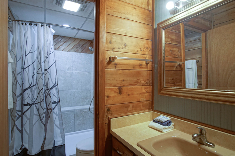Bathroom 5, Powder Monkey 4: 2 Bedrooms Plus Sleeping Loft, 2 Full Baths: Slope Side, Pocahontas