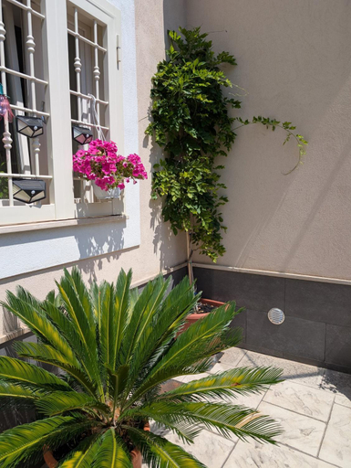 Exterior & Views 2, B&B IL GLICINE, Salerno