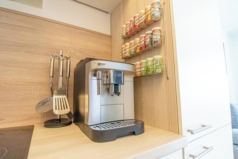 Private kitchen 5, Comfortable 1BR 1LR City Center Apt, Wien