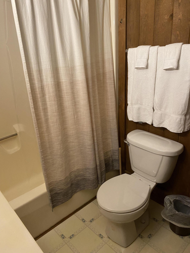 Bathroom 2, Tree Top 39, 2 Bedroom Townhome Slopeside, Pocahontas