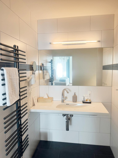 Bathroom 5, Zunfthaus zu Wirthen, Solothurn