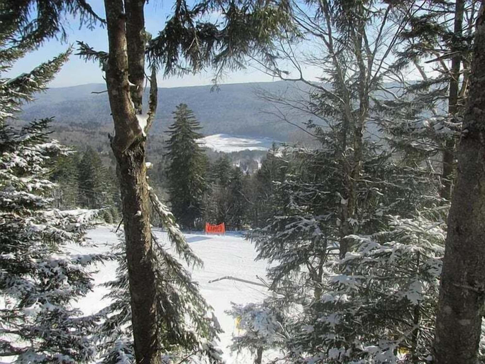 Exterior 2, Stemwinder #8:3 Bedroom/3.5 Bath Slopeside, Pocahontas
