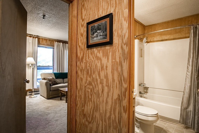 Bathroom 3, Leatherbark - 301b, 2 Bedroom Allegheny Sunrise Spacious Condo Foosball, Pocahontas