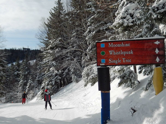 Snow and ski sports, Whistlepunk 36: 1 Br Plus Bonus Sleeping Loft Slope Side, Pocahontas