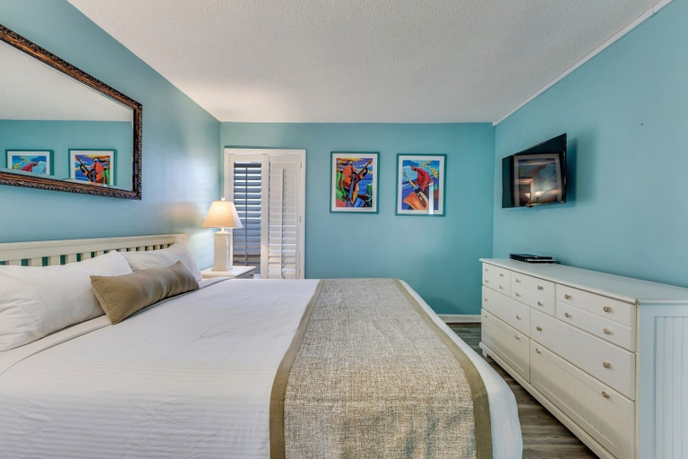 Room 5, 0402 Modern Greece 1 Bedroom Condo, New Hanover