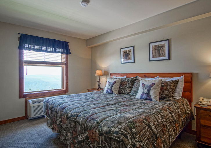 Room 5, Ski in/ Ski Out! Rimfire 351/352 Spacious and Cozy 2, Pocahontas