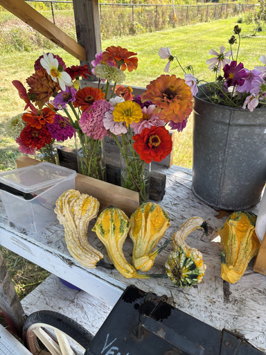 Food & Drinks, The Birch & Berry Inn, Chittenden