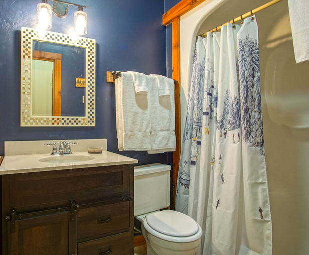 Bathroom 4, Whistlepunk 44 - 1 Bedroom With Loft, Slopeside Complex, Pocahontas