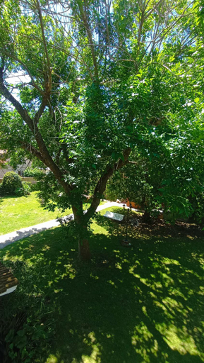 Others 5, Hosteria Bavaria por Las Grullas, Villa Gesell