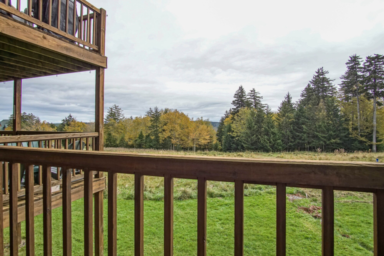 View from room 5, 1 Br: Powderidge 30:slope Side, Pet Friendly end Unit on Shuttle Route, Pocahontas