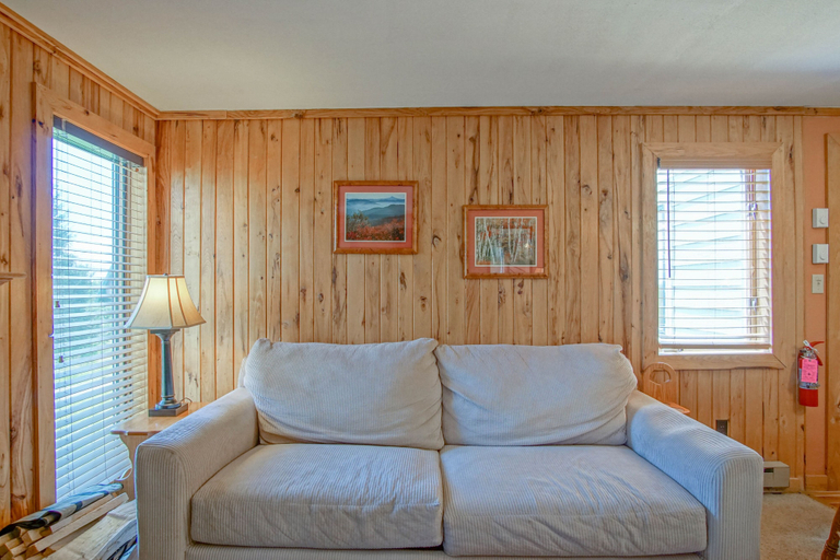 Living area 4, Powderidge 1 Hideaway Slope Side, Pocahontas